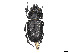  (Prosopocoilus motschuskii - CCDB-45161-E01)  @11 [ ] CreativeCommons - Attribution Share - Alike (2023) CBG Photography Group Centre for Biodiversity Genomics
