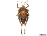  ( - CCDB-45167-A12)  @11 [ ] CreativeCommons - Attribution Share - Alike (2023) CBG Photography Group Centre for Biodiversity Genomics