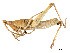  (Tagastini - CCDB-45167-C06)  @11 [ ] CreativeCommons - Attribution Share - Alike (2023) CBG Photography Group Centre for Biodiversity Genomics