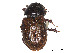  ( - CCDB-45168-B05)  @11 [ ] CreativeCommons - Attribution Share - Alike (2023) CBG Photography Group Centre for Biodiversity Genomics