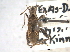  ( - CCDB-20828-E02)  @11 [ ] CreativeCommons - Attribution (2013) CBG Photography Group Centre for Biodiversity Genomics