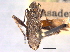  ( - CCDB-20828-E04)  @11 [ ] CreativeCommons - Attribution (2013) CBG Photography Group Centre for Biodiversity Genomics