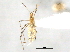  ( - CCDB-20829-E10)  @11 [ ] CreativeCommons - Attribution (2013) CBG Photography Group Centre for Biodiversity Genomics