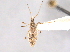  ( - CCDB-20829-E12)  @11 [ ] CreativeCommons - Attribution (2013) CBG Photography Group Centre for Biodiversity Genomics