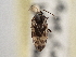  ( - CCDB-21309-C10)  @12 [ ] CreativeCommons - Attribution (2013) CBG Photography Group Centre for Biodiversity Genomics