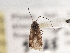  ( - CCDB-21310-F04)  @11 [ ] CreativeCommons - Attribution (2013) CBG Photography Group Centre for Biodiversity Genomics