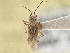  ( - CCDB-21311-F02)  @11 [ ] CreativeCommons - Attribution (2013) CBG Photography Group Centre for Biodiversity Genomics