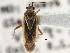  ( - CCDB-21311-H10)  @11 [ ] CreativeCommons - Attribution (2013) CBG Photography Group Centre for Biodiversity Genomics