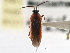  ( - CCDB-21312-B09)  @11 [ ] CreativeCommons - Attribution (2013) CBG Photography Group Centre for Biodiversity Genomics