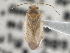  ( - CCDB-21312-B11)  @11 [ ] CreativeCommons - Attribution (2013) CBG Photography Group Centre for Biodiversity Genomics