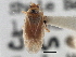  ( - CCDB-21312-B12)  @11 [ ] CreativeCommons - Attribution (2013) CBG Photography Group Centre for Biodiversity Genomics