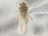  ( - CCDB-21312-C05)  @11 [ ] CreativeCommons - Attribution (2013) CBG Photography Group Centre for Biodiversity Genomics