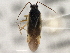  ( - CCDB-21312-D02)  @14 [ ] CreativeCommons - Attribution (2013) CBG Photography Group Centre for Biodiversity Genomics