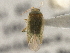  ( - CCDB-21312-D12)  @13 [ ] CreativeCommons - Attribution (2013) CBG Photography Group Centre for Biodiversity Genomics