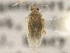  ( - CCDB-21312-E02)  @11 [ ] CreativeCommons - Attribution (2013) CBG Photography Group Centre for Biodiversity Genomics