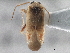  ( - CCDB-21312-E11)  @13 [ ] CreativeCommons - Attribution (2013) CBG Photography Group Centre for Biodiversity Genomics
