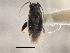  ( - CCDB-21313-A03)  @11 [ ] CreativeCommons - Attribution (2013) CBG Photography Group Centre for Biodiversity Genomics