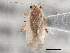  ( - CCDB-21313-A10)  @13 [ ] CreativeCommons - Attribution (2013) CBG Photography Group Centre for Biodiversity Genomics