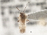  ( - CCDB-21313-A11)  @11 [ ] CreativeCommons - Attribution (2013) CBG Photography Group Centre for Biodiversity Genomics