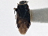  ( - CCDB-21313-G01)  @11 [ ] CreativeCommons - Attribution (2013) CBG Photography Group Centre for Biodiversity Genomics