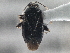  ( - CCDB-21313-G02)  @11 [ ] CreativeCommons - Attribution (2013) CBG Photography Group Centre for Biodiversity Genomics