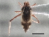  ( - CCDB-21314-A06)  @11 [ ] CreativeCommons - Attribution (2013) CBG Photography Group Centre for Biodiversity Genomics