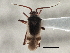  ( - CCDB-21314-A08)  @11 [ ] CreativeCommons - Attribution (2013) CBG Photography Group Centre for Biodiversity Genomics