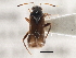  ( - CCDB-21314-C06)  @12 [ ] CreativeCommons - Attribution (2013) CBG Photography Group Centre for Biodiversity Genomics