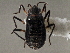  ( - CCDB-21314-E06)  @11 [ ] CreativeCommons - Attribution (2013) CBG Photography Group Centre for Biodiversity Genomics