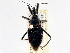  ( - CCDB-21314-E10)  @11 [ ] CreativeCommons - Attribution (2013) CBG Photography Group Centre for Biodiversity Genomics