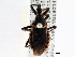  ( - CCDB-21314-E12)  @11 [ ] CreativeCommons - Attribution (2013) CBG Photography Group Centre for Biodiversity Genomics