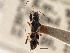  ( - CCDB-21315-B08)  @11 [ ] CreativeCommons - Attribution (2013) CBG Photography Group Centre for Biodiversity Genomics