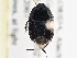  ( - CCDB-21316-B06)  @13 [ ] CreativeCommons - Attribution (2013) CBG Photography Group Centre for Biodiversity Genomics