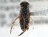  ( - CCDB-21316-D09)  @11 [ ] CreativeCommons - Attribution (2013) CBG Photography Group Centre for Biodiversity Genomics
