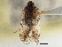  ( - CCDB-21317-A11)  @11 [ ] CreativeCommons - Attribution (2013) CBG Photography Group Centre for Biodiversity Genomics