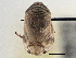  ( - CCDB-21317-H07)  @11 [ ] CreativeCommons - Attribution (2013) CBG Photography Group Centre for Biodiversity Genomics