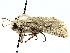  ( - SINPR0058)  @11 [ ] CreativeCommons - Attribution (2022) CBG Photography Group Centre for Biodiversity Genomics