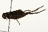  ( - 09BBORTH-0173)  @12 [ ] CreativeCommons - Attribution (2010) Unspecified Centre for Biodiversity Genomics