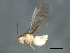  ( - 09BBPSO-0038)  @13 [ ] CreativeCommons - Attribution (2009) Unspecified Centre for Biodiversity Genomics