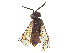  ( - CCDB-37891-E04)  @11 [ ] CreativeCommons - Attribution Share - Alike (2023) CBG Photography Group Centre for Biodiversity Genomics
