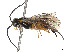  ( - CCDB-37892-A03)  @11 [ ] CreativeCommons - Attribution Share - Alike (2023) CBG Photography Group Centre for Biodiversity Genomics