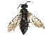  ( - CCDB-37893-H06)  @11 [ ] CreativeCommons - Attribution Share - Alike (2024) CBG Photography Group Centre for Biodiversity Genomics