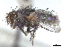  ( - CCDB-37876-C03)  @11 [ ] CreativeCommons - Attribution (2022) CBG Photography Group Centre for Biodiversity Genomics