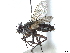  (Vibrissina spinigera - CCDB-37876-C10)  @11 [ ] CreativeCommons - Attribution (2022) CBG Photography Group Centre for Biodiversity Genomics