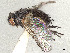  ( - CCDB-37878-A05)  @11 [ ] CreativeCommons - Attribution (2023) CBG Photography Group Centre for Biodiversity Genomics