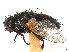  (Gnadochaeta harpi - CCDB-37878-G03)  @11 [ ] CreativeCommons - Attribution (2023) CBG Photography Group Centre for Biodiversity Genomics