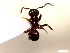  ( - SJU123)  @12 [ ] CreativeCommons - Attribution Share-Alike (2016) Unspecified Sang-ji University