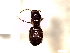  ( - SJU129)  @12 [ ] CreativeCommons - Attribution Share-Alike (2016) Unspecified Sang-ji University