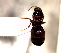  ( - SJU130)  @12 [ ] CreativeCommons - Attribution Share-Alike (2016) Unspecified Sang-ji University