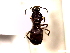  ( - SJU131)  @13 [ ] CreativeCommons - Attribution Share-Alike (2016) Unspecified Sang-ji University